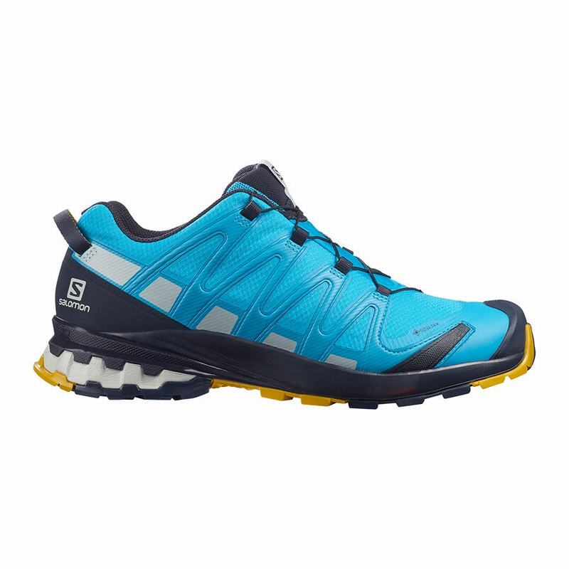 SALOMON XA PRO 3D V8 GORE-TEX Philippines - Men's Trail Running Shoes - Blue | 379562-ESU